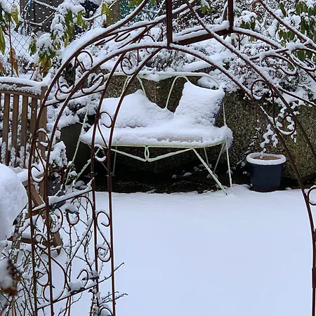 Dornroeschen Osterode am Harz