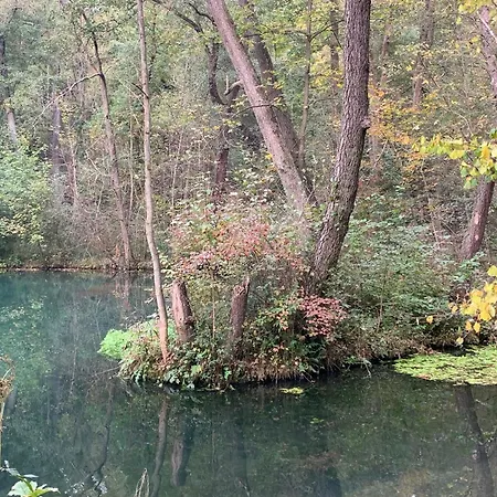 Σπίτι διακοπών Dornroeschen Osterode am Harz