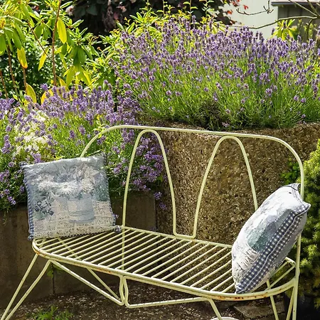 別荘 Dornroeschen *