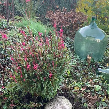 Dornroeschen 別荘 *