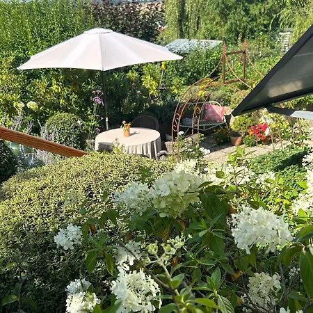 Dornroeschen Osterode am Harz