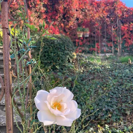 Σπίτι διακοπών Dornroeschen Osterode am Harz