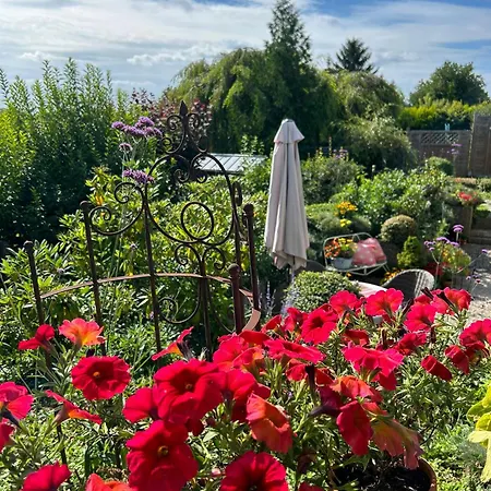 Dornroeschen * Osterode am Harz