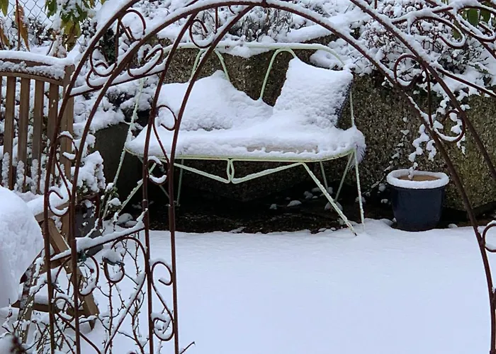 Dornroeschen Osterode am Harz