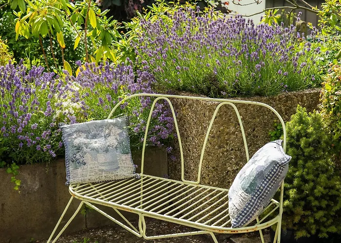 度假居 Dornroeschen *