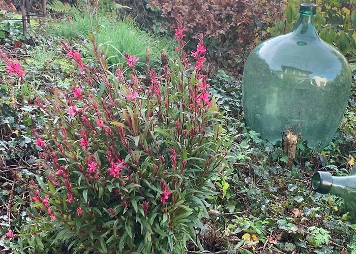 Dornroeschen 度假居 *