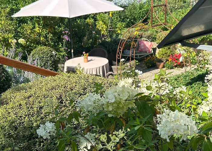 Dornroeschen Osterode am Harz