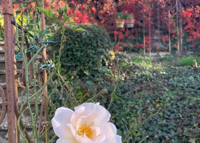 度假居 Dornroeschen Osterode am Harz