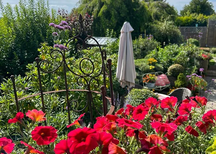 Dornroeschen * Osterode am Harz