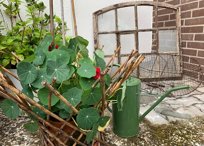 Dornroeschen 度假居